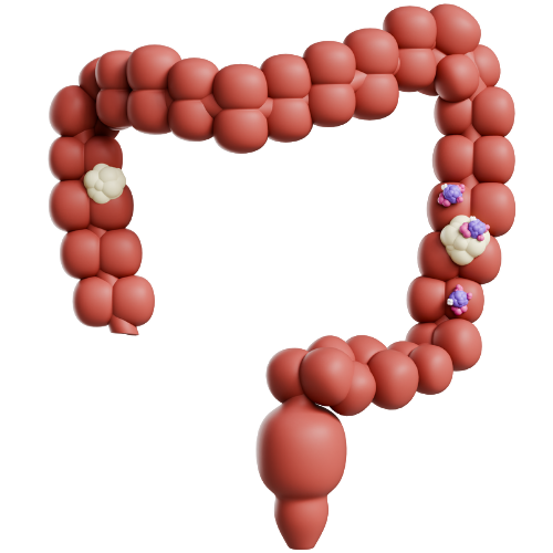 ťi - 2025-10-20T142018.765